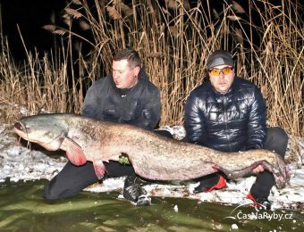 Lednový lov na boilies překvapil sérií kaprů i dvoumetrovým sumcem