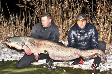 Lednový lov na boilies překvapil sérií kaprů i dvoumetrovým sumcem